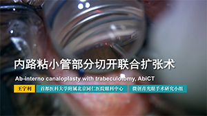 内路粘小管部分切开联合扩张术